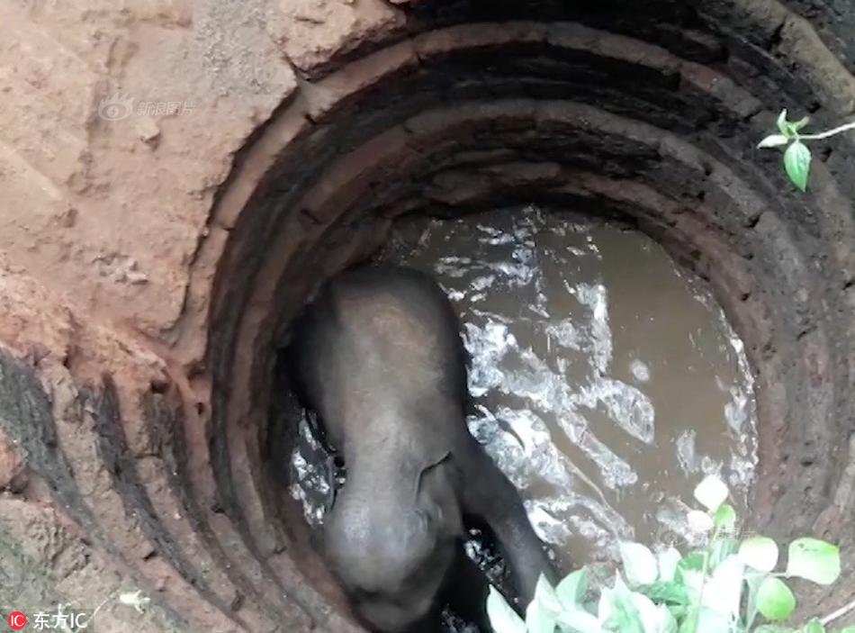 军情五处第四季全集免费在线观看-英国欧 示例图 - 说明文字