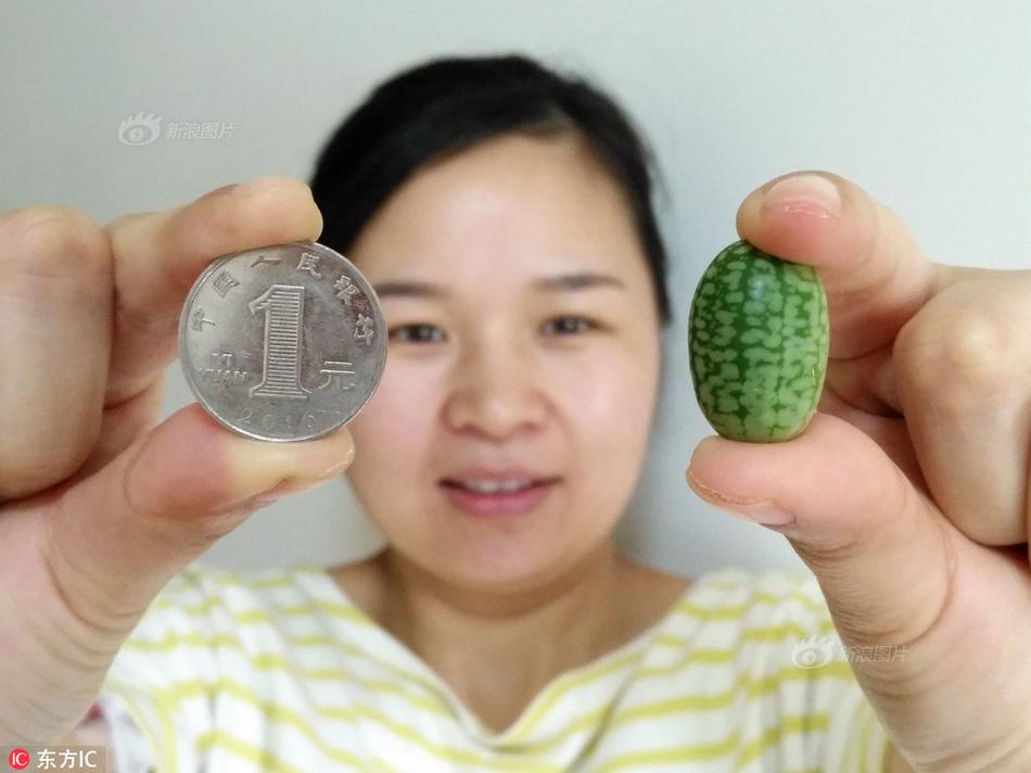 ...亚托莉我挚爱的时光手机版v 示例图 - 说明文字