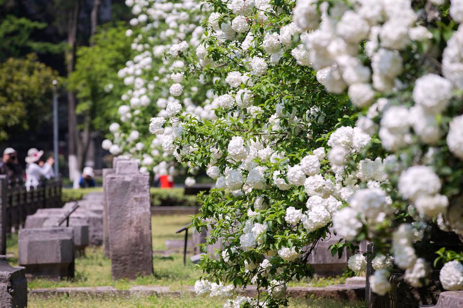 国产av电影精品区一二三区日韩av免费收看 示例图 - 说明文字