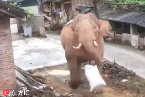 上半年全国社会物流总额1674万亿元，恢复稳定态势持续 示例图 - 说明文字