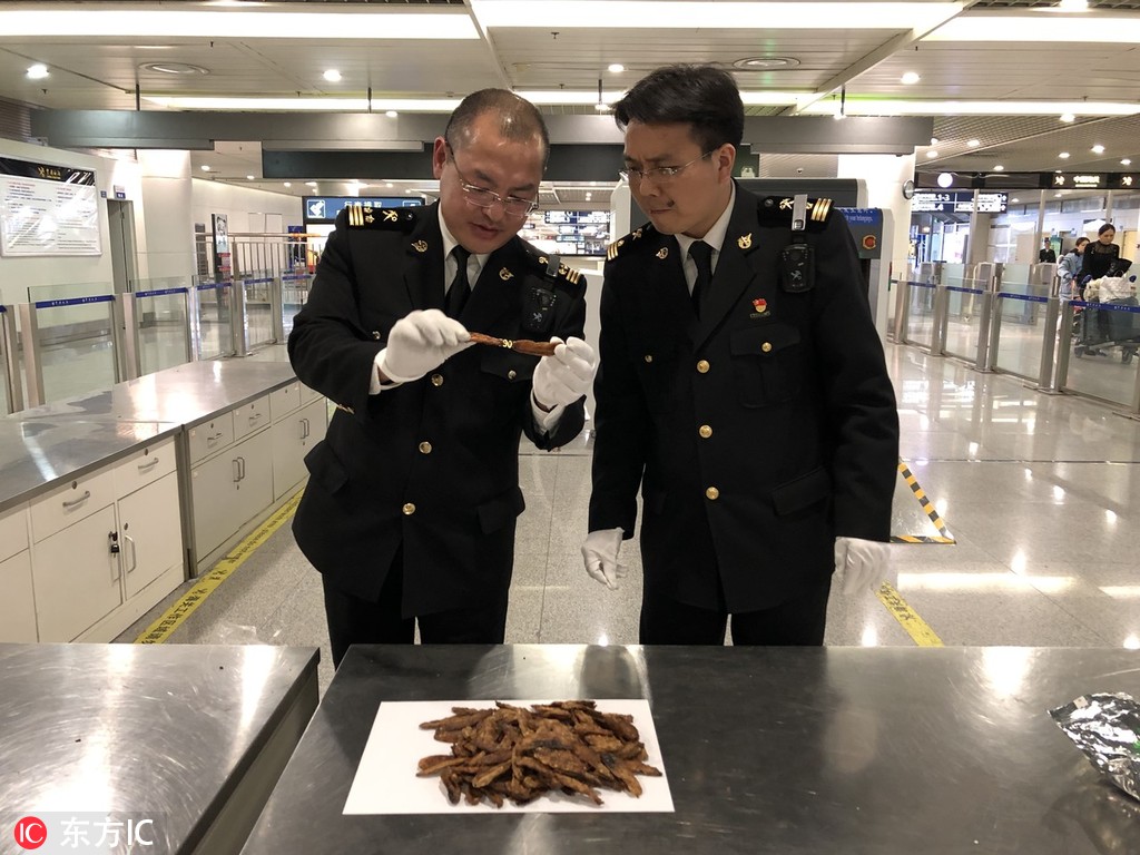 2023奥门正版生肖图v5.6.5 - 生肖图软件下载 示例图 - 说明文字