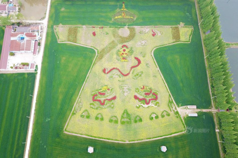 sone-359车牌号鹫尾芽衣升级k罩 示例图 - 说明文字