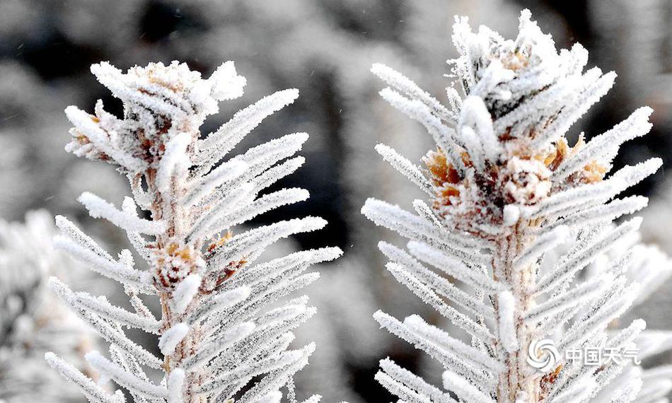 女警花闺房处女学习新技能准备晋升 示例图 - 说明文字