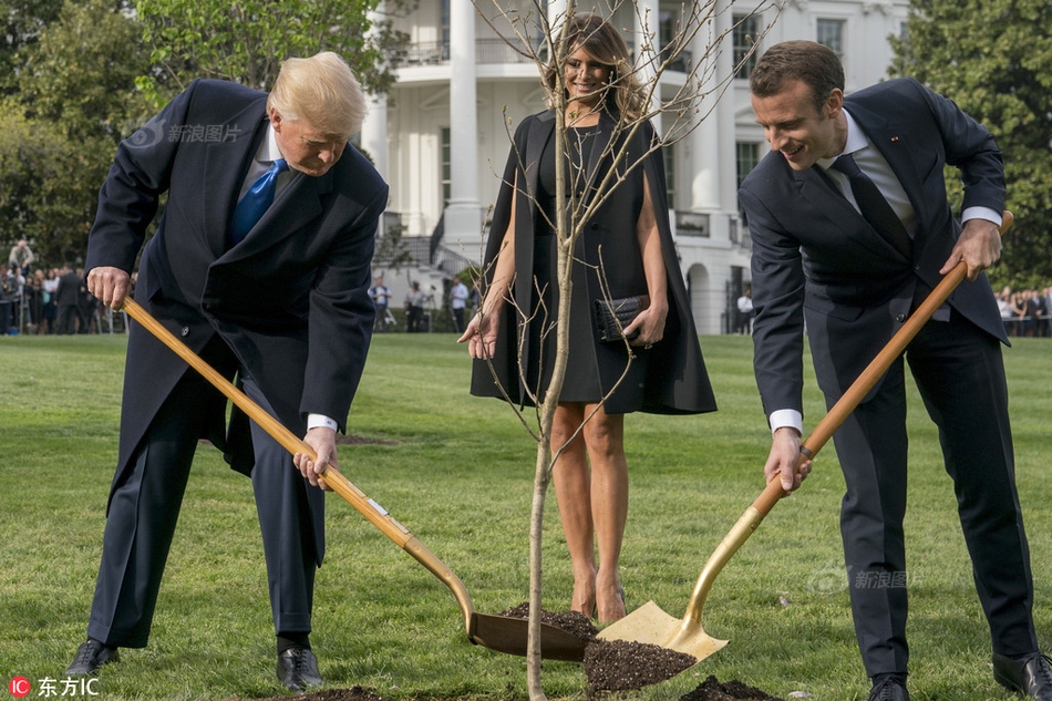 在铜器乐章中感受音乐魅力与舞蹈节奏-张家 示例图 - 说明文字