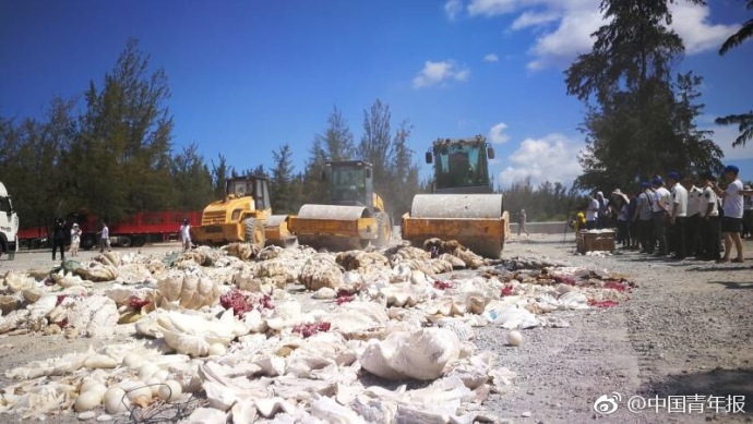 ...atri -my dear moments-手机版v 示例图 - 说明文字