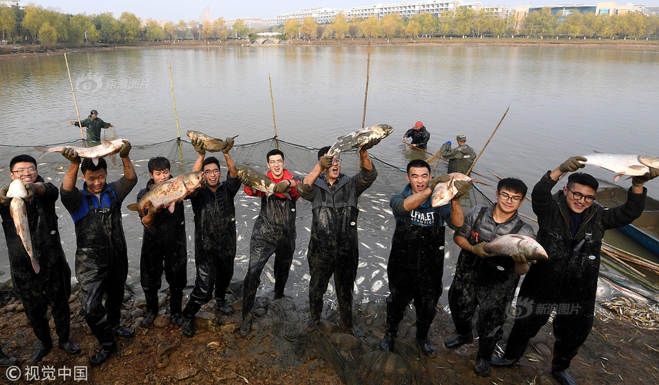 2024年管家婆100%中奖安全设计说明法 示例图 - 说明文字