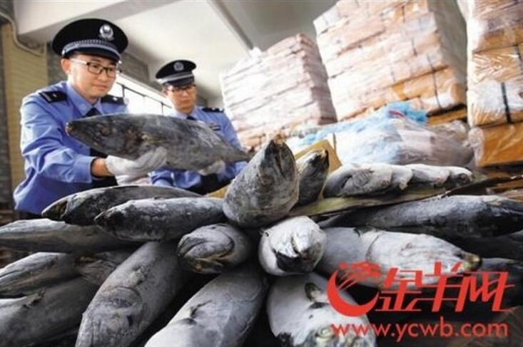 呕吐=美团姑娘怎么约，美团骑手如何进行预约(2024-12-07 21-0) 示例图 - 说明文字