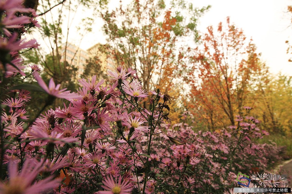 2024年管家婆100%中奖安全设计说明法 示例图 - 说明文字