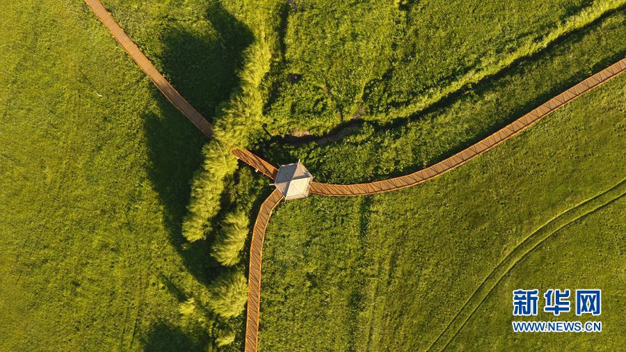 在我眉心中藏着一个独特的世界 示例图 - 说明文字