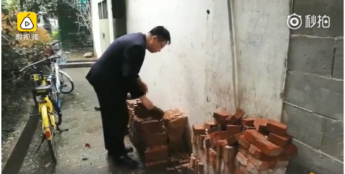 2023奥门正版生肖图v5.6.5 - 生肖图软件下载 示例图 - 说明文字