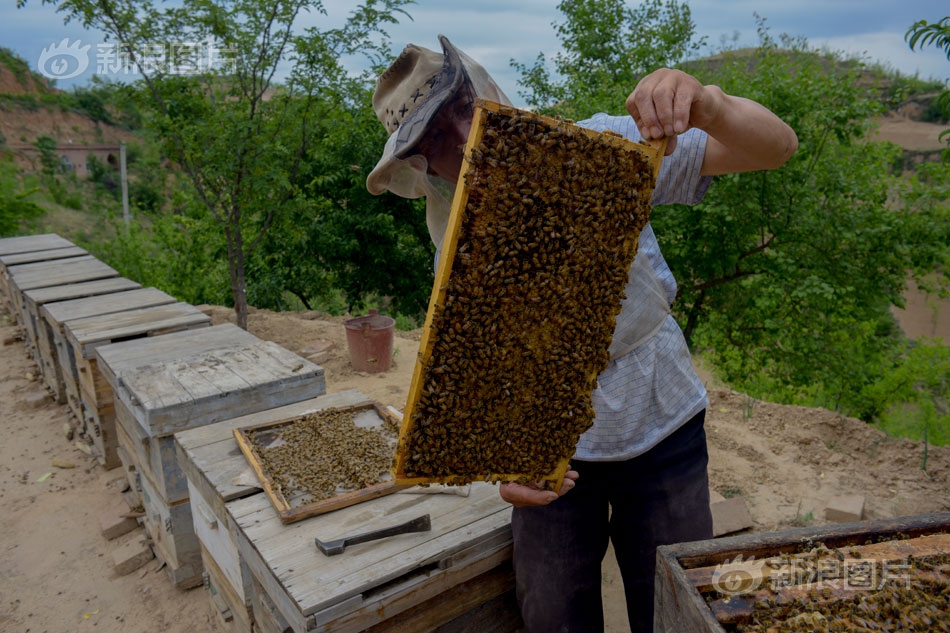 s货大声点c，懒烂你的b，电影高清在线观看 示例图 - 说明文字