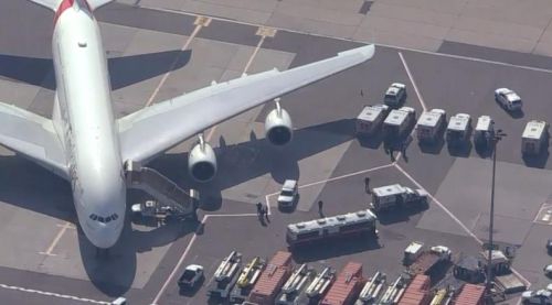 和尚庙里猛如虎免费在线阅读_四缺一_全集最新 示例图 - 说明文字