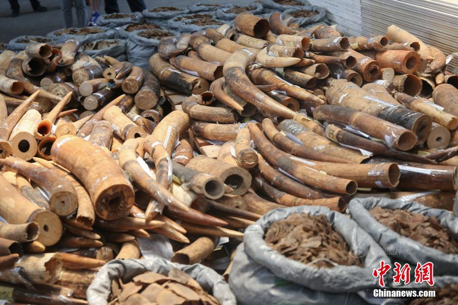 国产av电影精品区一二三区日韩av免费收看 示例图 - 说明文字