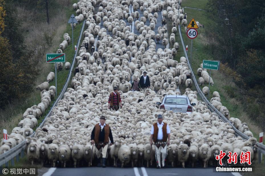 19岁韩国电影tc中字在线观看- 中航影视 示例图 - 说明文字