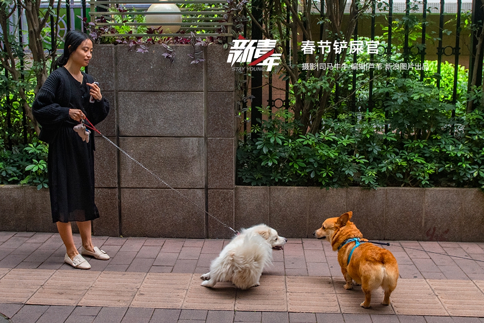 199麻豆up主吐槽盘点，内容绝，我刷了 示例图 - 说明文字