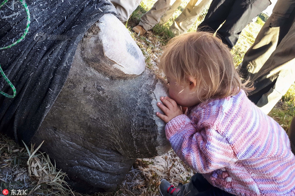 2024年管家婆100%中奖安全设计说明法 示例图 - 说明文字