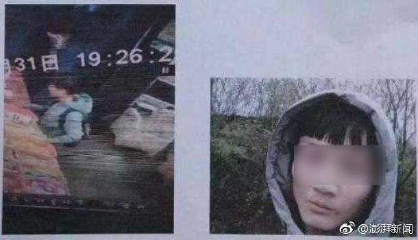 小舞奇遇记下拉漫画txt全集电子书免费下载奇猫趣事网 示例图 - 说明文字