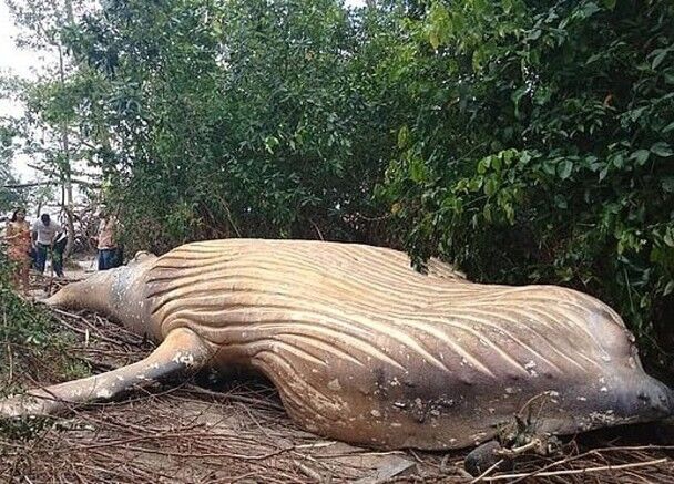 公司公厕小说免费阅读2025最新章节更新 示例图 - 说明文字