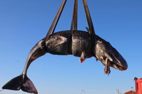 在城市乡村间 gary农民工的奋斗故事 示例图 - 说明文字