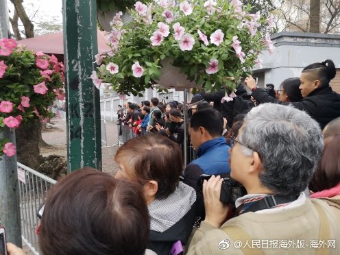 军情五处第四季全集免费在线观看-英国欧 示例图 - 说明文字