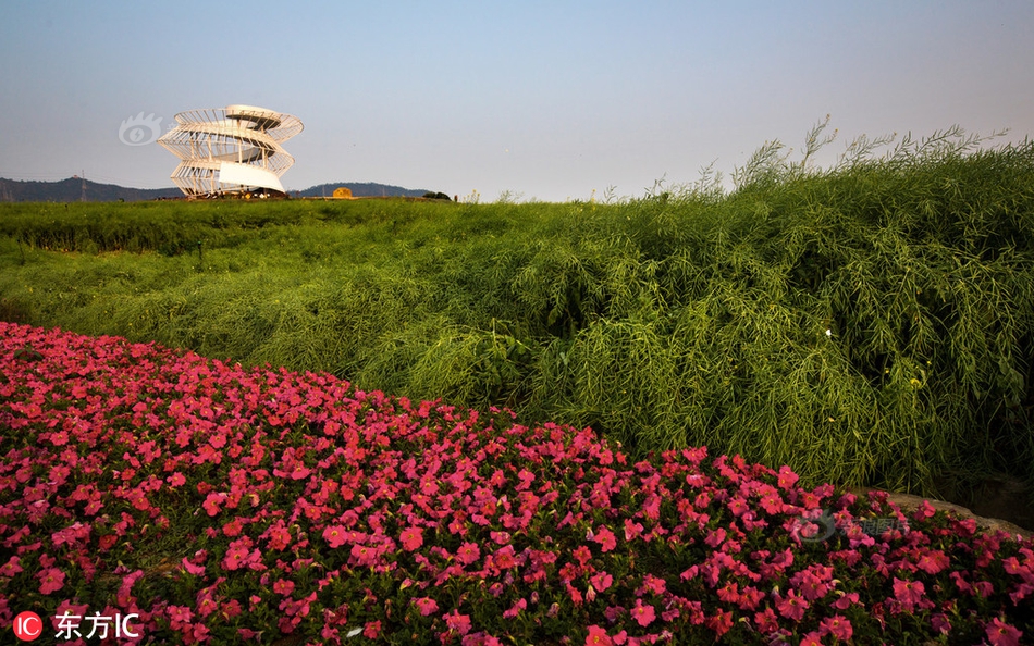 2023奥门正版生肖图v5.6.5 - 生肖图软件下载 示例图 - 说明文字