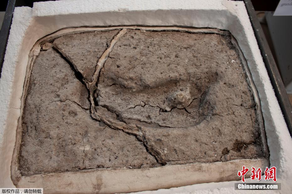 [ssis-899]山手梨惊艳演绎 仰天长啸美若天仙! 示例图 - 说明文字