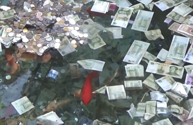 20cm长的棉签在晚上有什么用处 示例图 - 说明文字