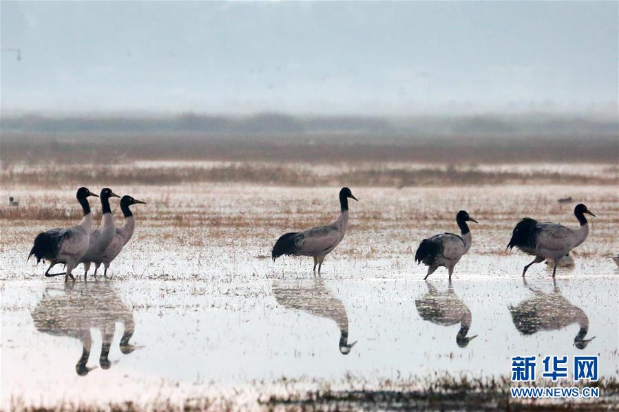 如何精挑交合集1300部作品最优的中文汉字 示例图 - 说明文字