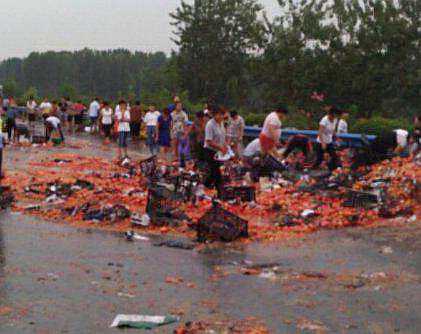 018期澳门彩报-3d图库 示例图 - 说明文字