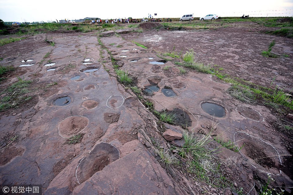 zoomservo兽-科技幻想未来生物 示例图 - 说明文字