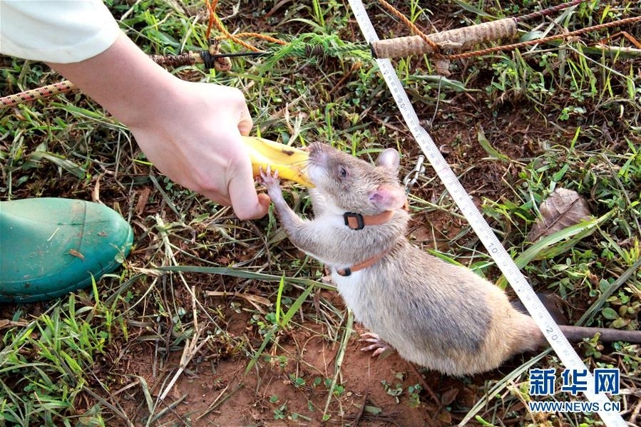 喜欢bl动画的你，来看这些车车动画推荐吧！bl的车车动画 示例图 - 说明文字