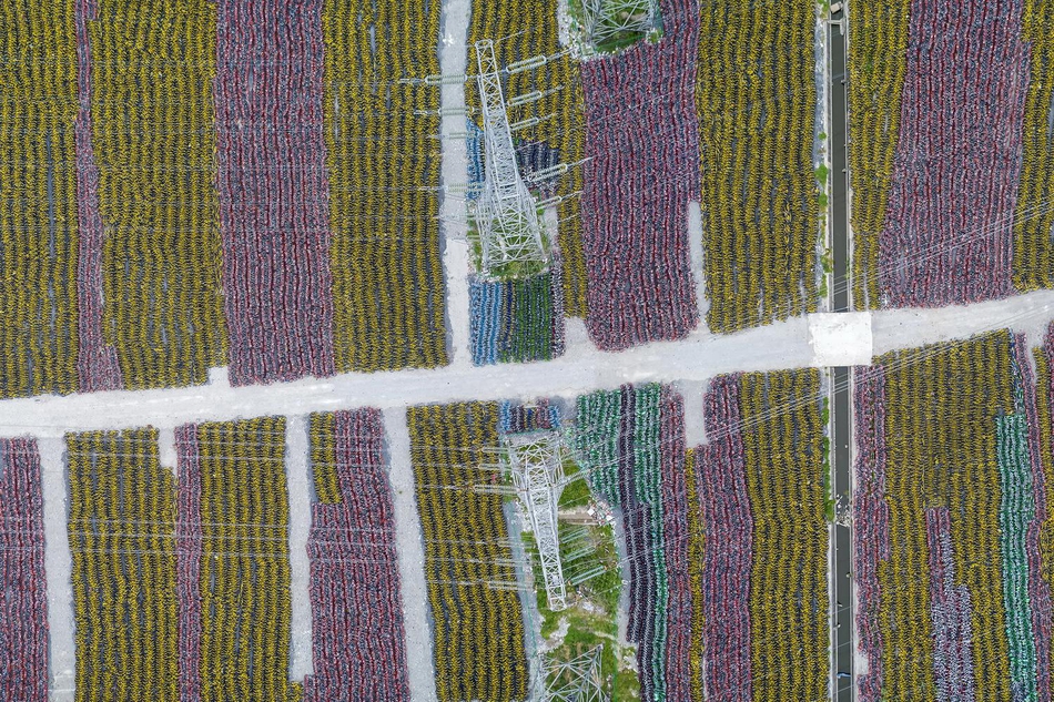 尽情在房间里玩耍游戏冷狐版下载-2021最新冷狐游戏下载链接 示例图 - 说明文字