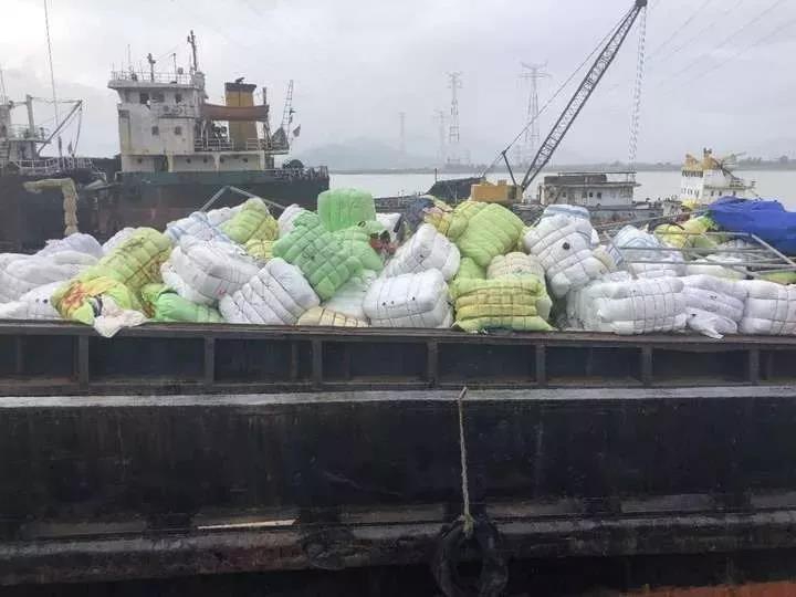 2023奥门正版生肖图v5.6.5 - 生肖图软件下载 示例图 - 说明文字