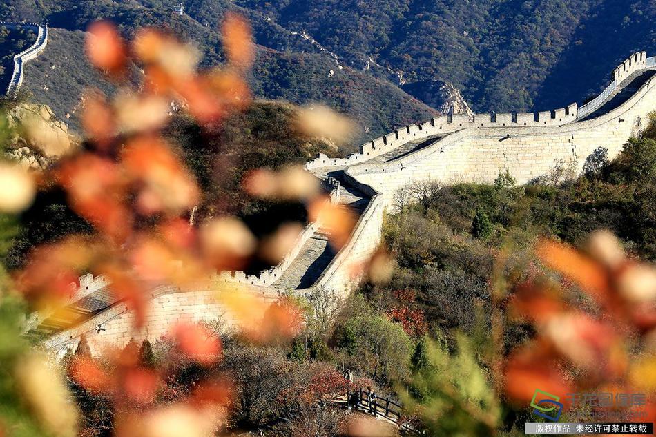 zoomservo兽-科技幻想未来生物 示例图 - 说明文字