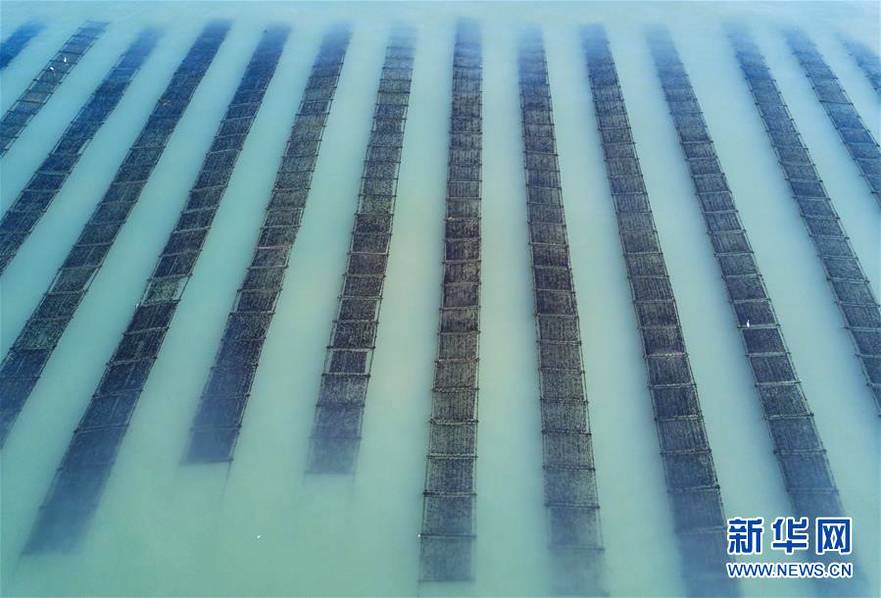 2024达盖亚旗帜回家的路_达盖亚旗帜暂停剧组 示例图 - 说明文字