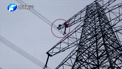 《百千家的妖怪王子》全集动漫-樱花动漫 示例图 - 说明文字