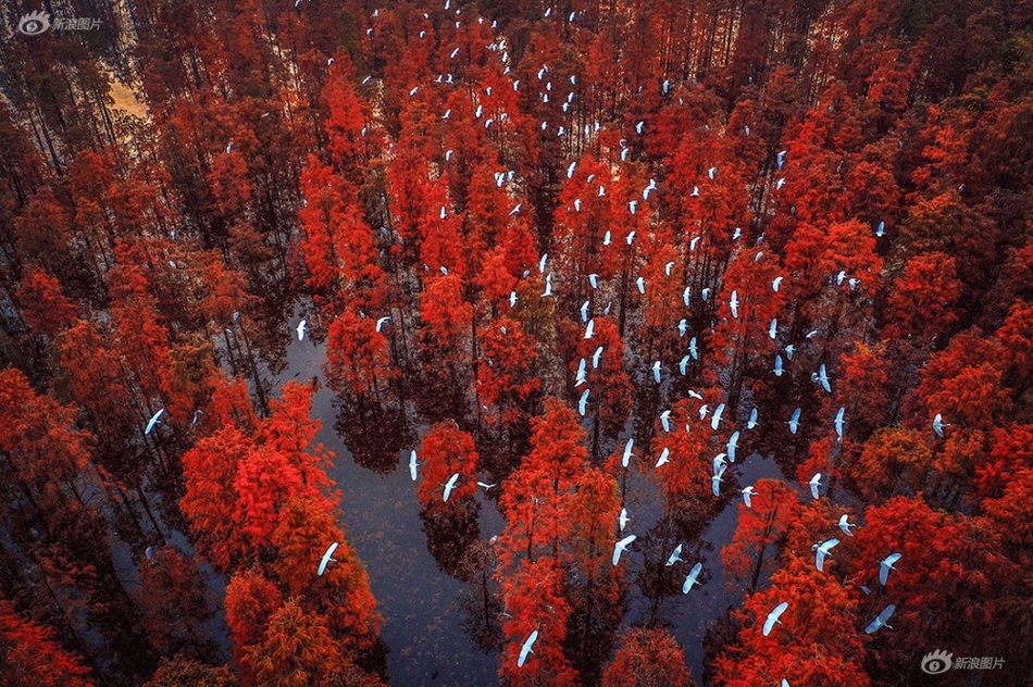 五情天综合基地揭秘幸福秘密 示例图 - 说明文字