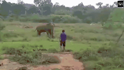 20cm长的棉签在晚上有什么用处 示例图 - 说明文字