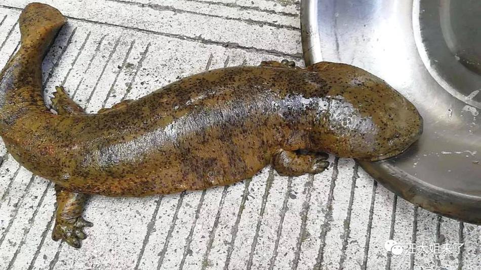 19岁韩国电影tc中字在线观看- 中航影视 示例图 - 说明文字