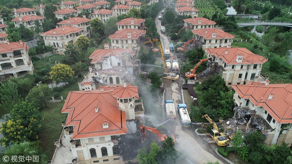 2024年管家婆100%中奖安全设计说明法 示例图 - 说明文字