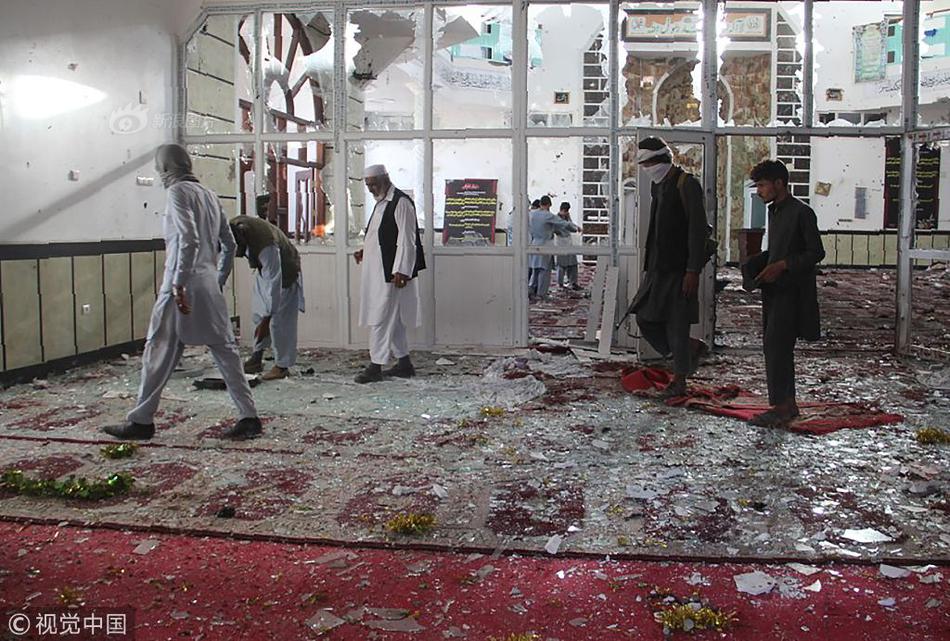 →→fulao2邮箱专业站长版v3314.6314.58585a_ 示例图 - 说明文字