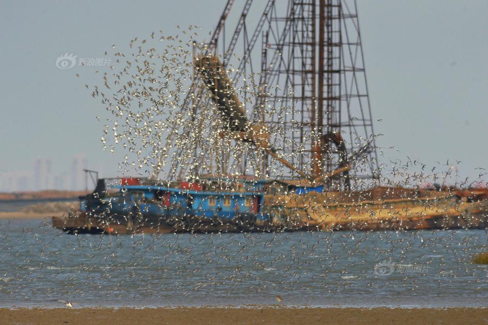 区av电影国产伦精品一二三区日韩av 示例图 - 说明文字