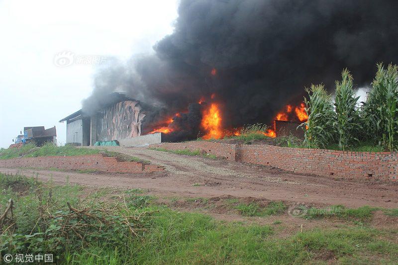 双女车车高清资源在线观看视 示例图 - 说明文字