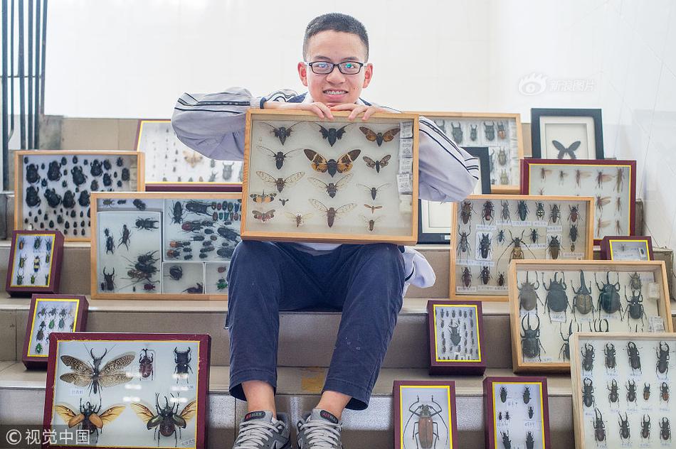 2023奥门正版生肖图v5.6.5 - 生肖图软件下载 示例图 - 说明文字