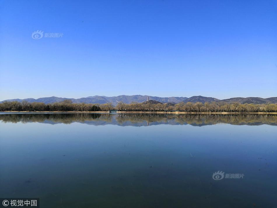 军情五处第四季全集免费在线观看-英国欧 示例图 - 说明文字