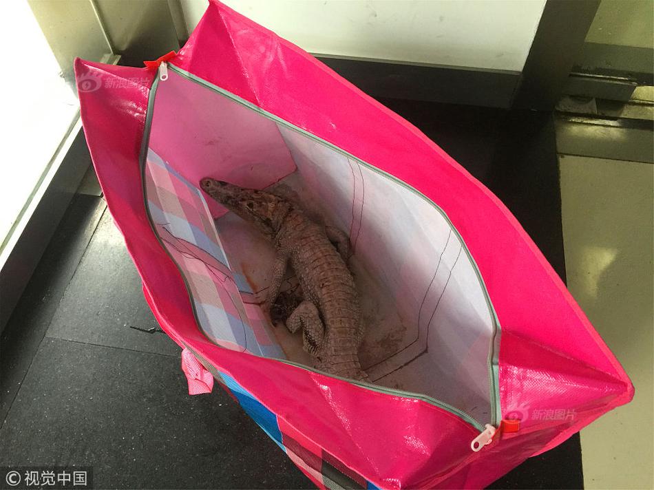 喜欢bl动画的你，来看这些车车动画推荐吧！bl的车车动画 示例图 - 说明文字