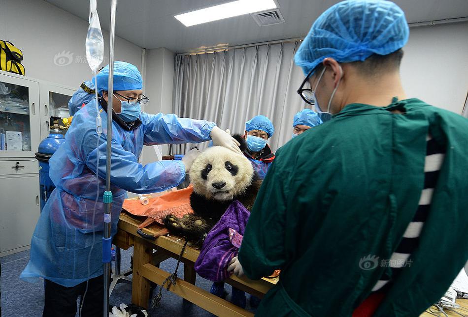 018期澳门彩报-3d图库 示例图 - 说明文字