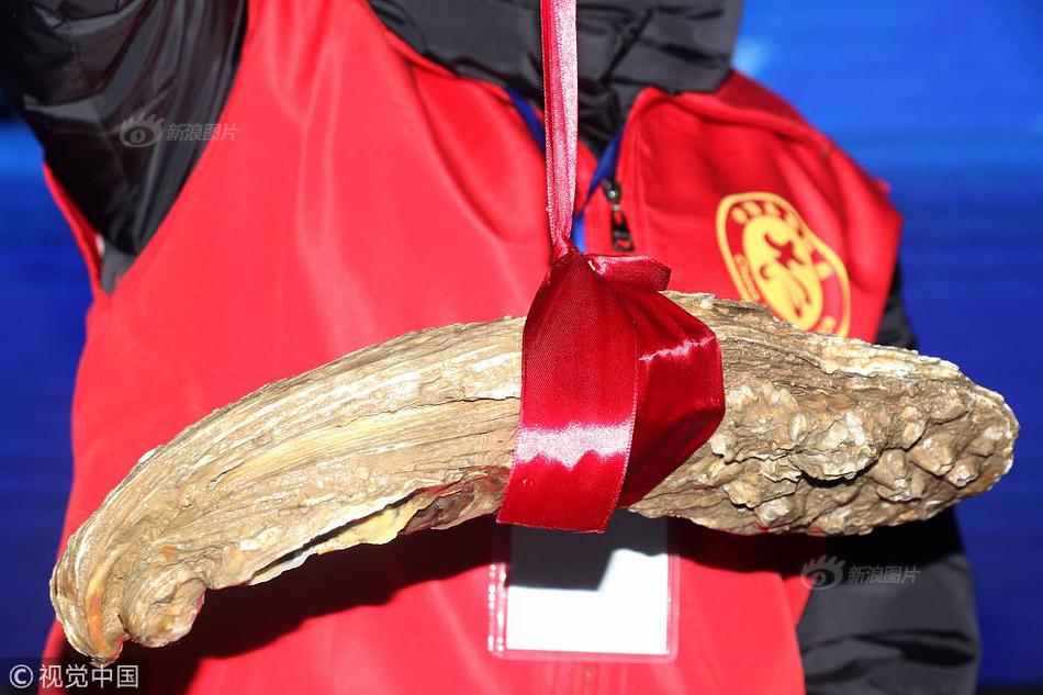 小舞奇遇记下拉漫画txt全集电子书免费下载奇猫趣事网 示例图 - 说明文字