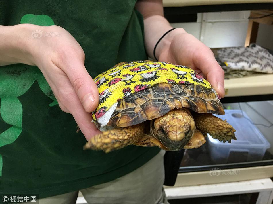 2024年管家婆100%中奖安全设计说明法 示例图 - 说明文字