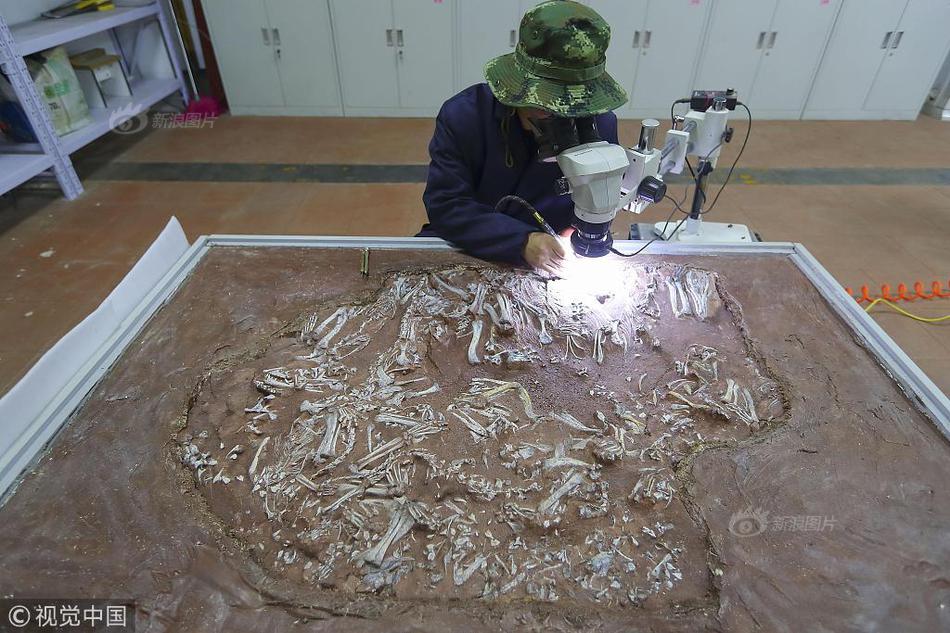 保罗芭芭拉1980年合作-斯顿手颠覆传统流行文化 示例图 - 说明文字